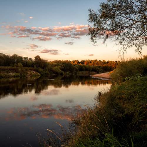 Photo #13349914
