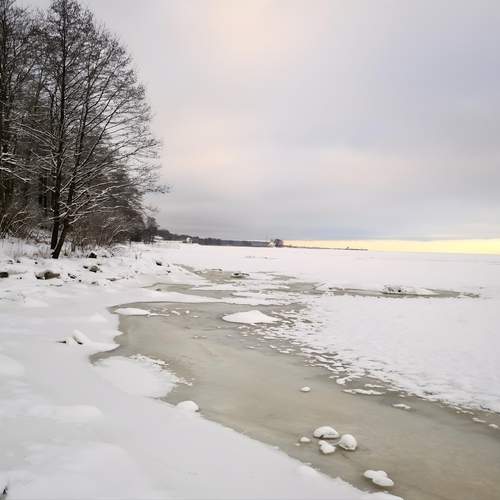 Photo #13349968