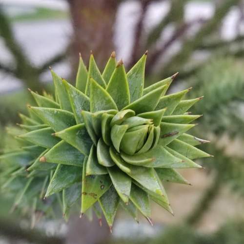 Photo #13349970