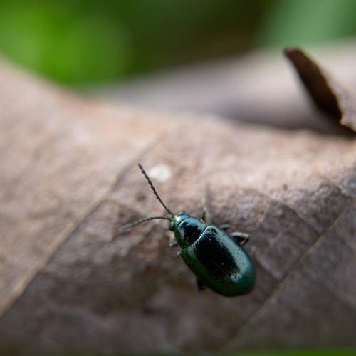 Photo #13349994