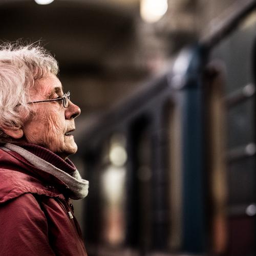 Portrait of a stranger