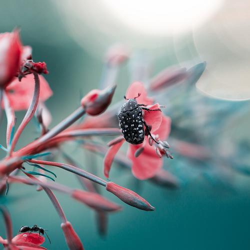 Photo #1338097