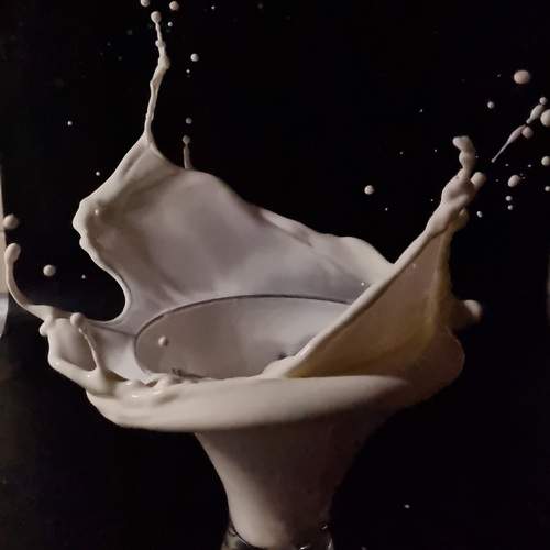Photo #13350001