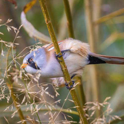 Надо дотянуться