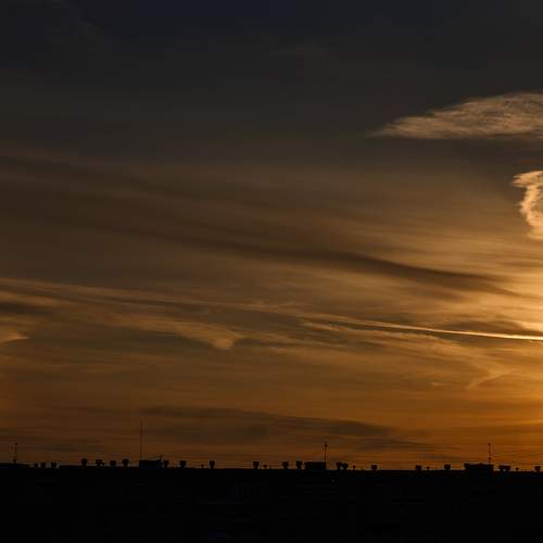 Photo #13350092