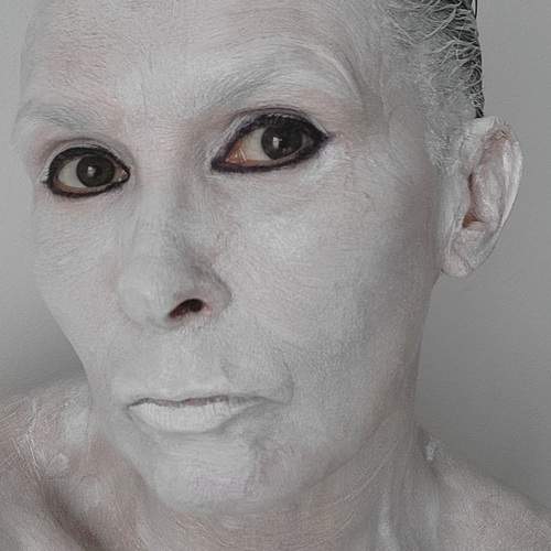 Photo #13350181
