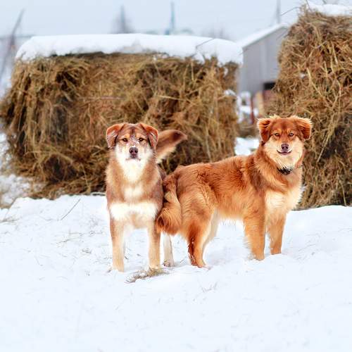 Photo #13350248