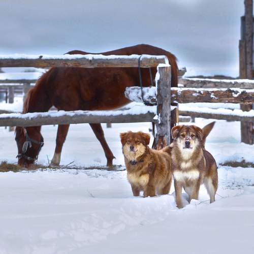 Photo #13350254