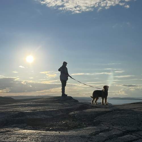 Photo #13350347