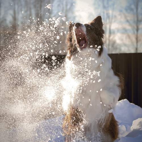 Photo #13350510
