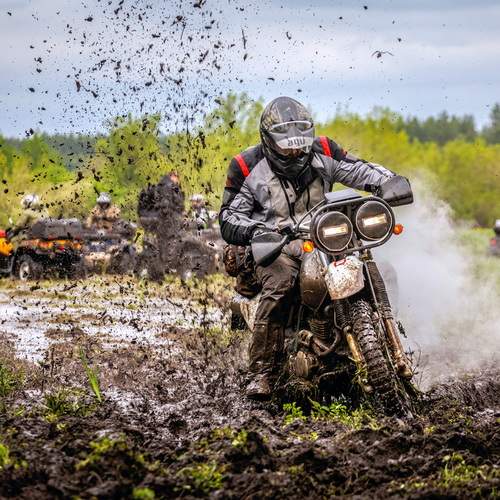 Photo #13350584