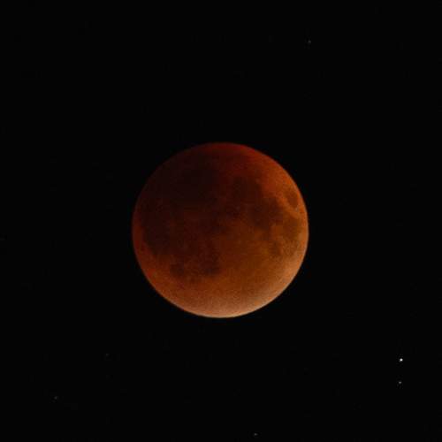 Photo #13350617