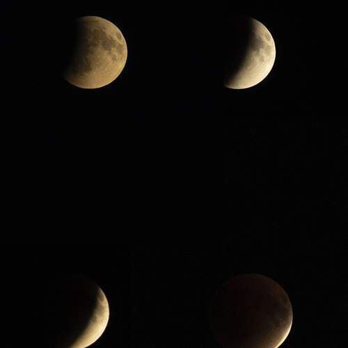 Photo #13350618