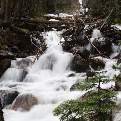 Photo #13350621