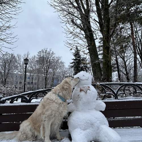 Photo #13350668