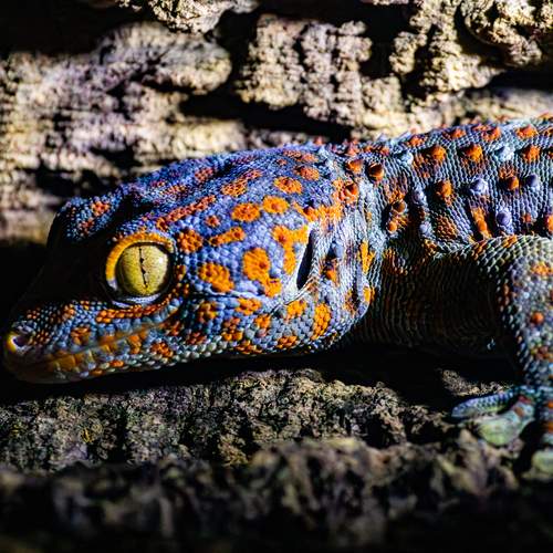 Photo #13350802