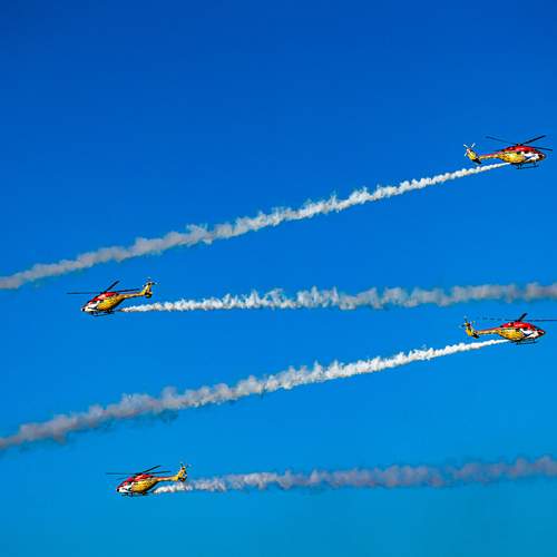 Photo #13350938