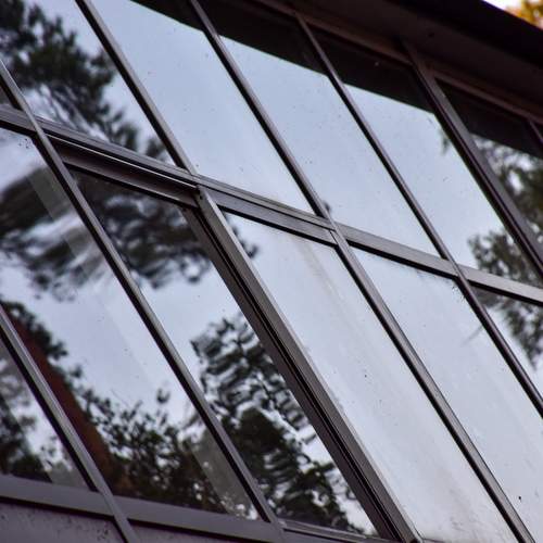 Photo #13350993