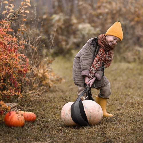 Photo #13351108
