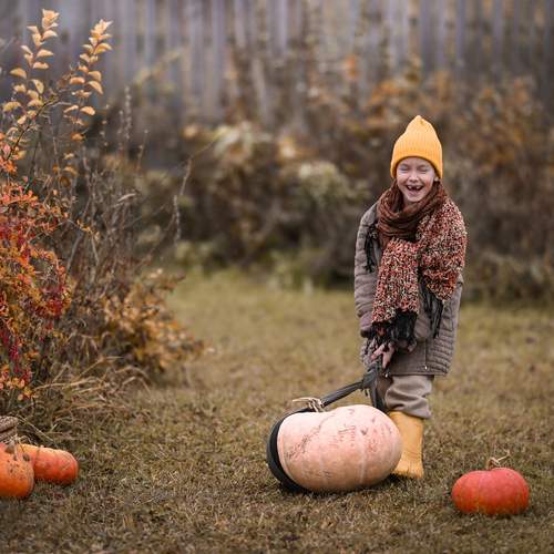 Photo #13351137
