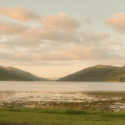 Photo #13351160