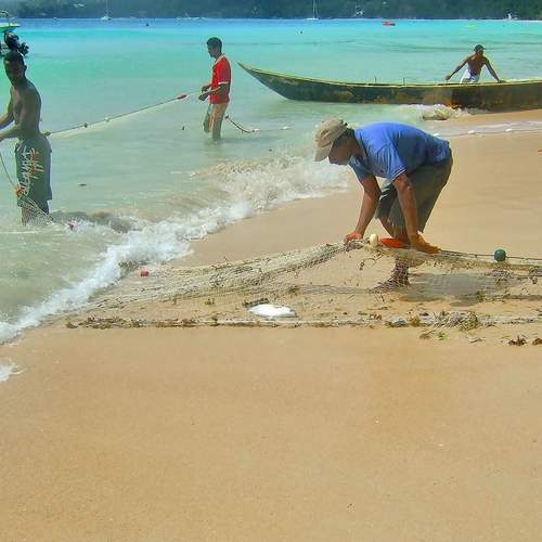 Photo #13351176