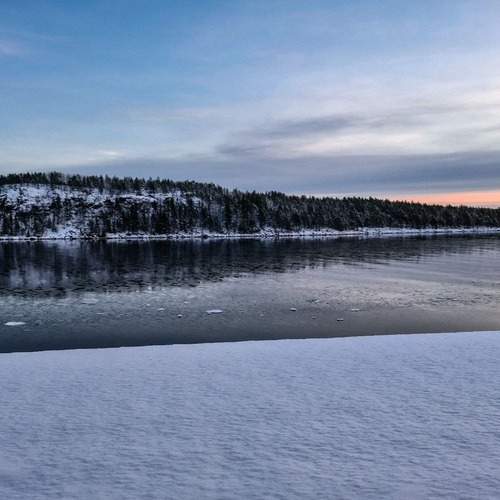 Photo #13351237