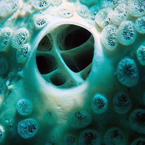 Photo #13351275