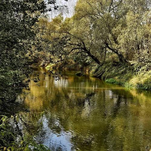 Photo #13351364