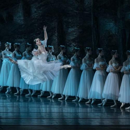 Photo #13351394