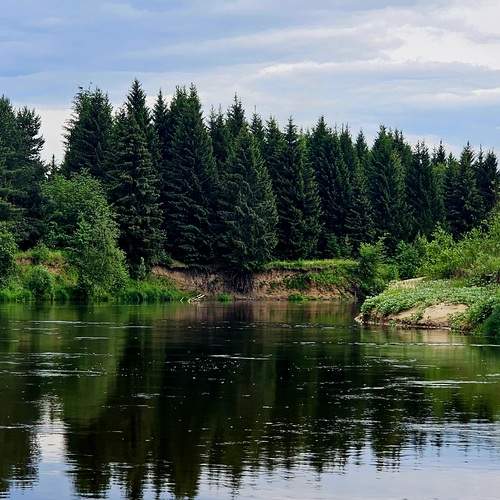 Photo #13351405