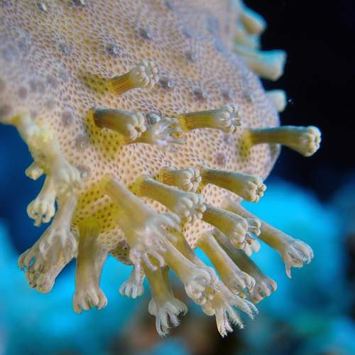 Photo #13351420