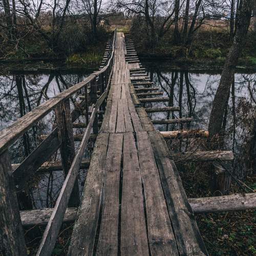 Photo #13351520