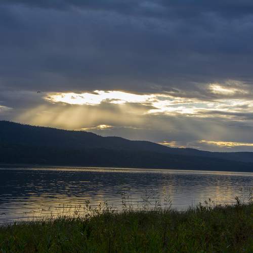 Photo #13351635