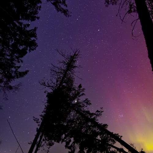 Photo #13351762