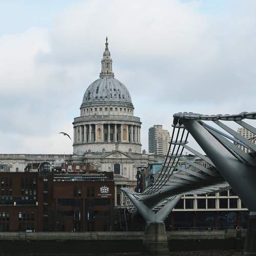Photo #13351861