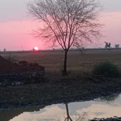 Pink sky