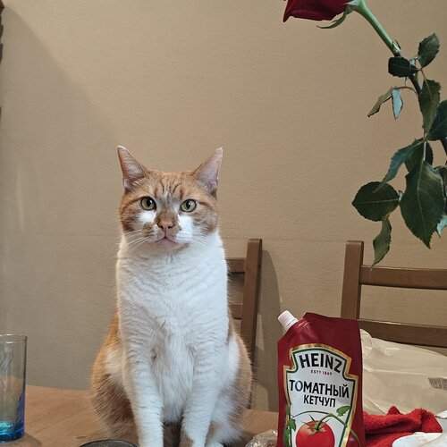 Photo #13351899