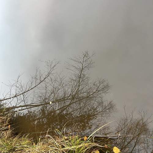 Photo #13351917