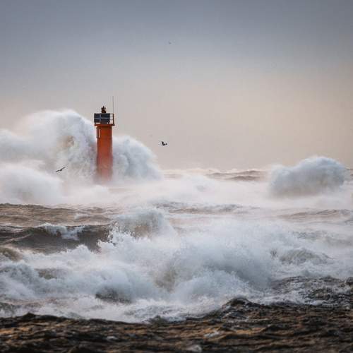 Photo #13351939