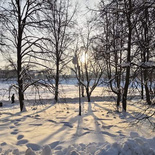 Photo #13351995