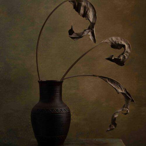 Photo #13352052