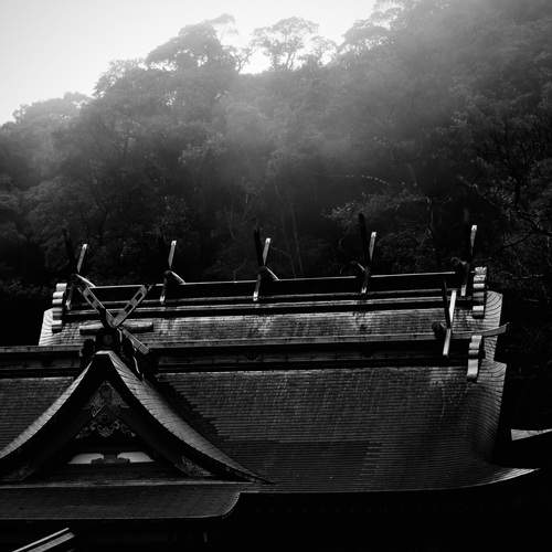 Silence Above the Sacred