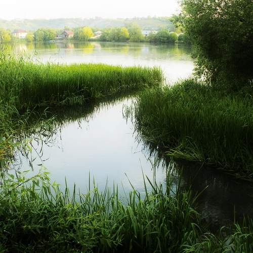 Photo #13352098
