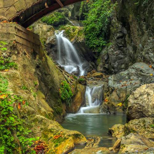 Photo #13352316