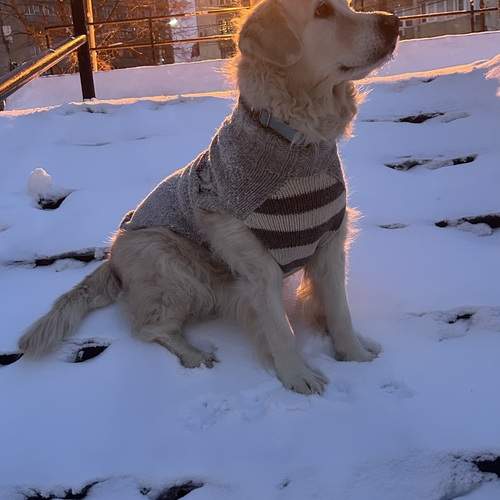 Photo #13352354