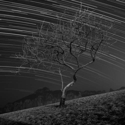 Dancing Alone on the Mountain Peak