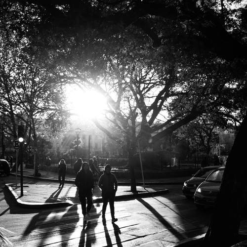 Photo #13352507
