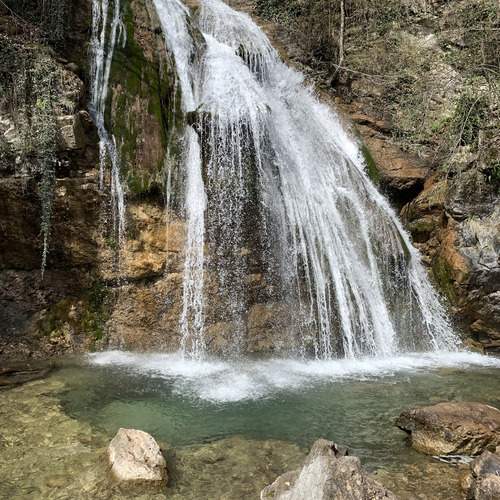 Photo #13352633