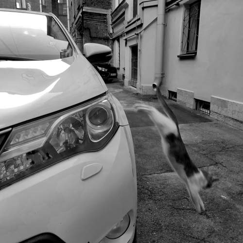Photo #13352731
